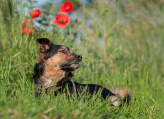 42.Fotochallenge - Eure schönen Momente beim Spaziergang-Beitrag-Bild