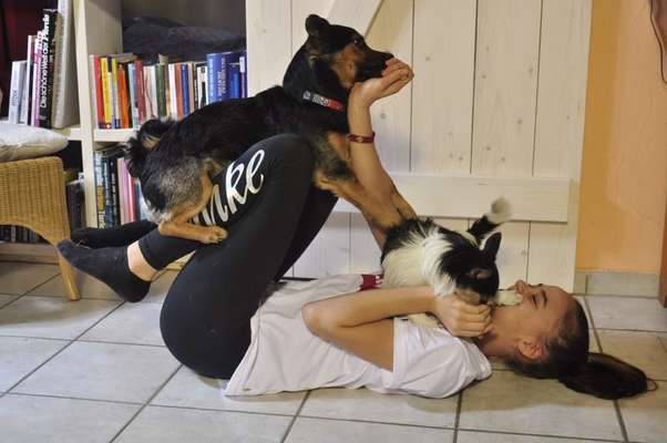 Fotochallenge 108: Starkes Team-Beitrag-Bild