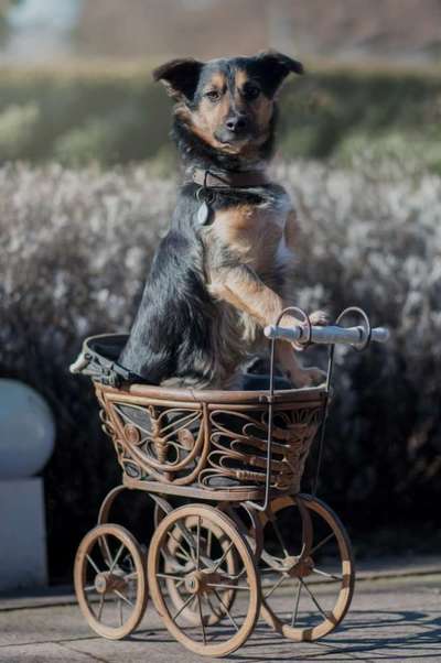 CHALLENGE NR. 18 - ON TOUR-Beitrag-Bild