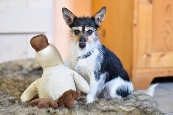 Foto Challenge die Vierte-Beitrag-Bild