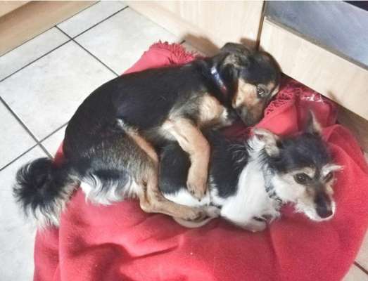 CHALLENGE NR. 34 - Liege-/Schlafpositionen-Beitrag-Bild