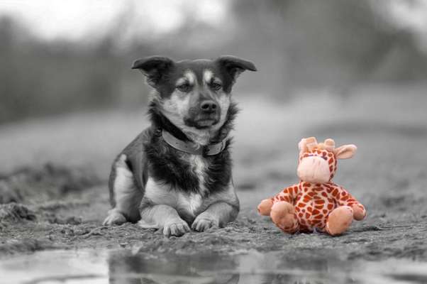 6. Farben Foto Challenge: "ColourKey Effekt"-Beitrag-Bild