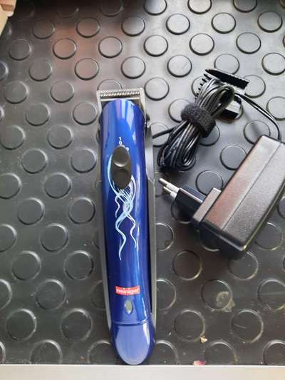 Alles rund um den Pudel-Beitrag-Bild