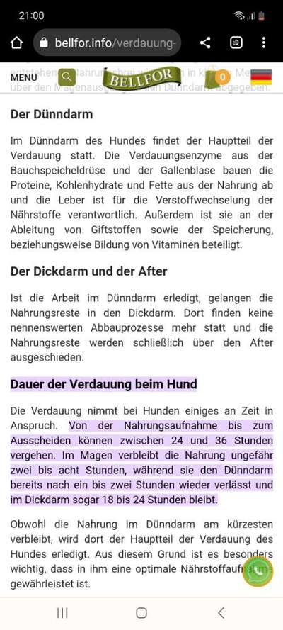 Alles rund um den Pudel-Beitrag-Bild