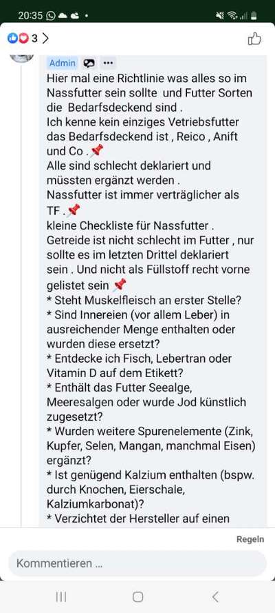 Alles rund um den Pudel-Beitrag-Bild