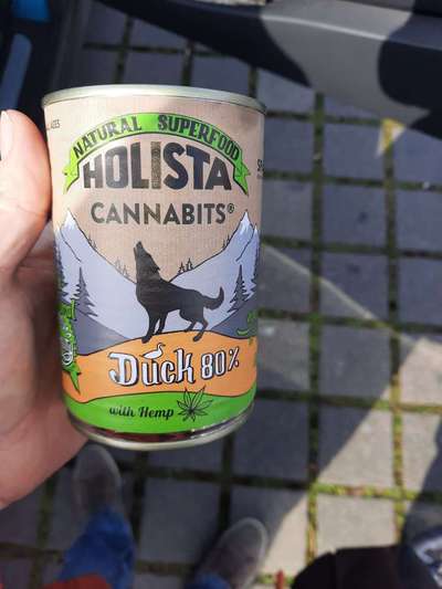 Alles rund um den Pudel-Beitrag-Bild