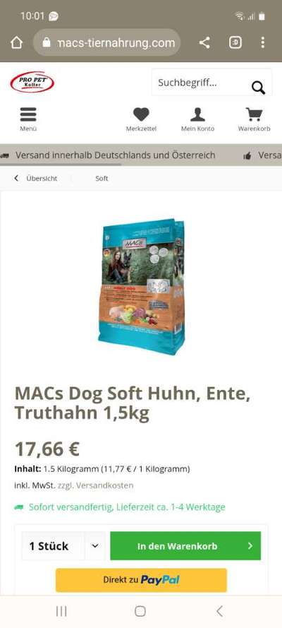 Alles rund um den Pudel-Beitrag-Bild