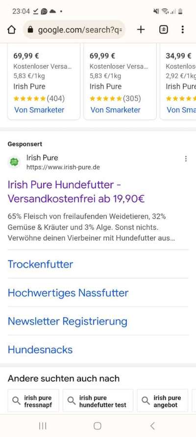 Alles rund um den Pudel-Beitrag-Bild