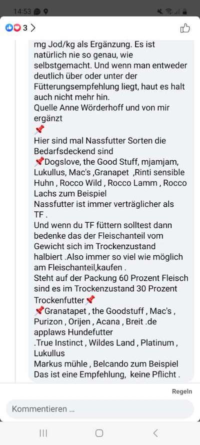 Alles rund um den Pudel-Beitrag-Bild