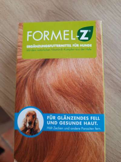 Alles rund um den Pudel-Beitrag-Bild