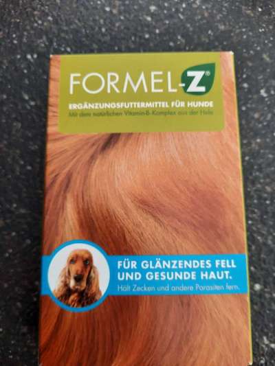 Alles rund um den Pudel-Beitrag-Bild