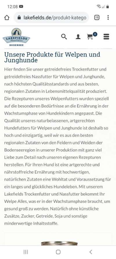 Alles rund um den Pudel-Beitrag-Bild