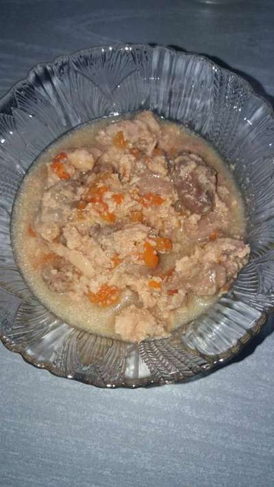 Alles rund um den Pudel-Beitrag-Bild