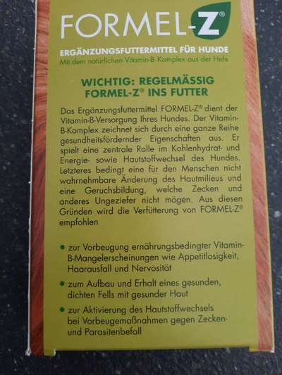 Alles rund um den Pudel-Beitrag-Bild