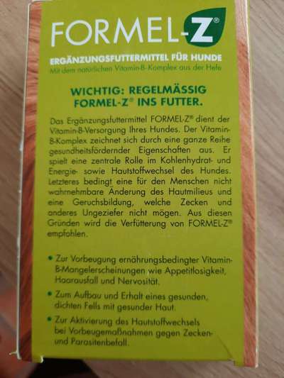 Alles rund um den Pudel-Beitrag-Bild