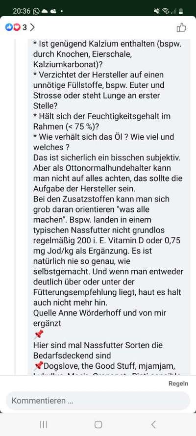 Alles rund um den Pudel-Beitrag-Bild