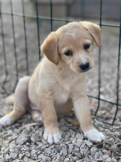 Sie werden so schnell erwachsen ...-Beitrag-Bild