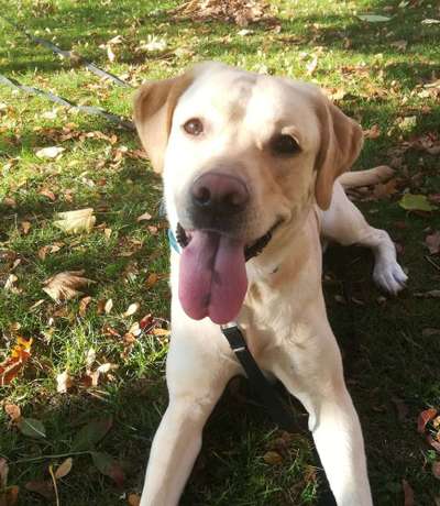 Immer lächeln !-Beitrag-Bild