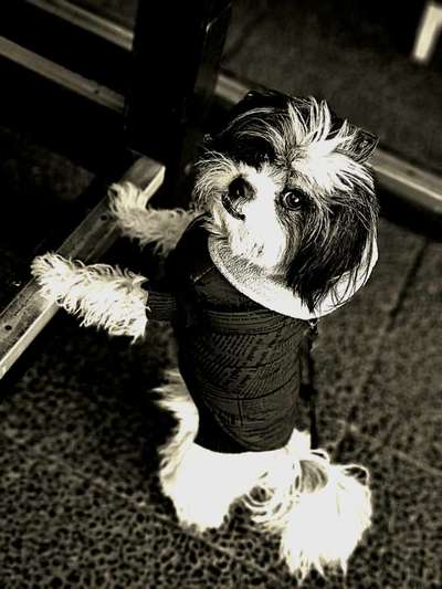 3. Farben/Fotochallenge: Schwarz/Weiß-Beitrag-Bild