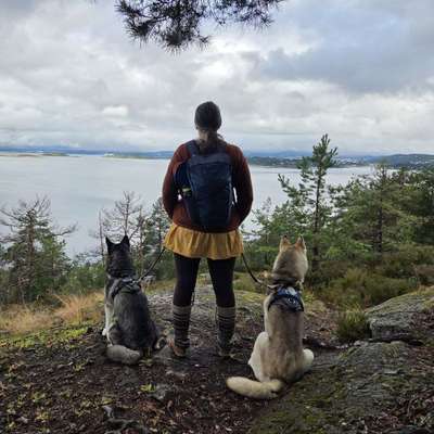 Daniela's Profilbild