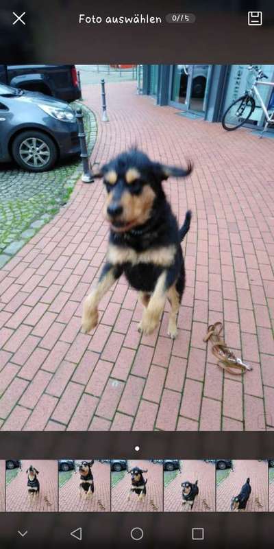 Un...scharf Bilder-Beitrag-Bild