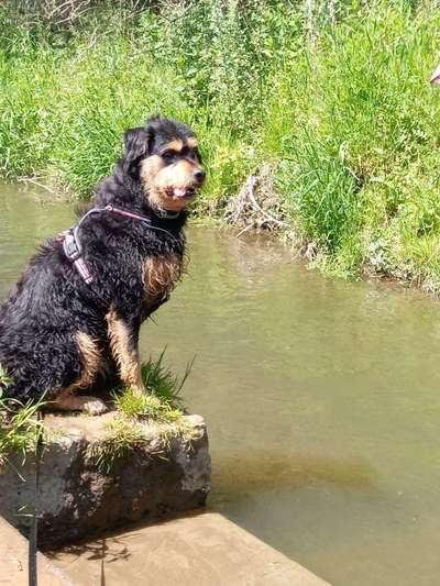 Spiel Kameraden gesucht-Beitrag-Bild