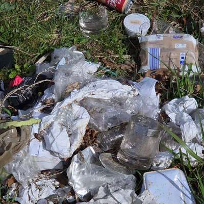 Giftköder-Zerbrochene Gläser, wilder Müll...-Bild