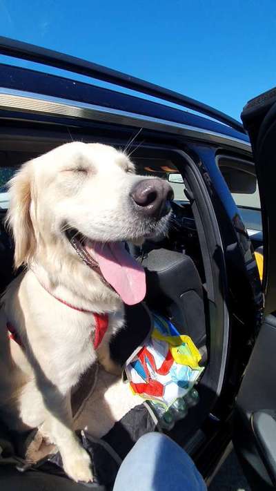 Dogorama Photo Challenge - Mäulchen auf-Beitrag-Bild