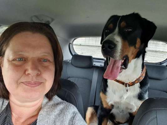 Hundetreffen-Spielen, toben, Gassi gehen-Bild