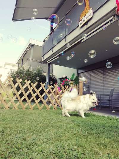 Her mit dem Grimassen-Beitrag-Bild