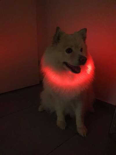 Leuchtie bei Dunkelheit bitte !-Beitrag-Bild