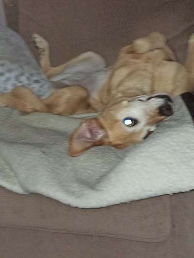 Handy-Foto Challange Nr. 10-Beitrag-Bild