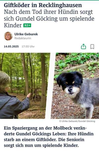 Giftköder-Giftköderfund an der Mollbeck-Bild