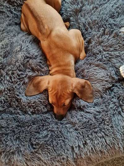 CHALLENGE NR. 34 - Liege-/Schlafpositionen-Beitrag-Bild