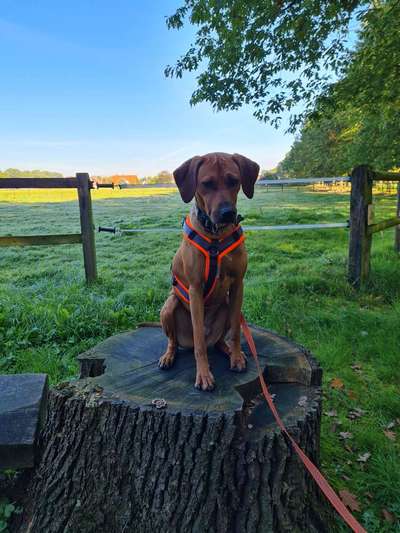 Lieblingsbild-Beitrag-Bild