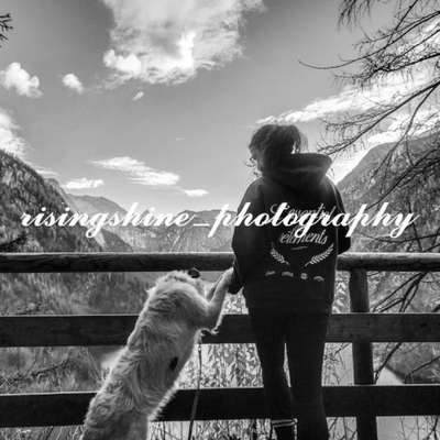 Hundetreffen-Individuell Fotoshootings 📸-Bild