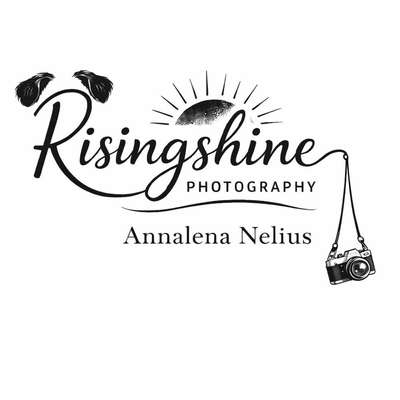 Hundetreffen-Fotoshootings-Bild