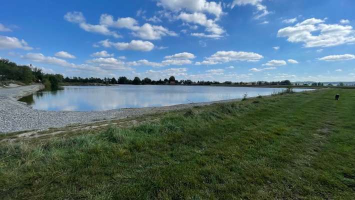 Hundeauslaufgebiet-Probfelder Weiher-Bild