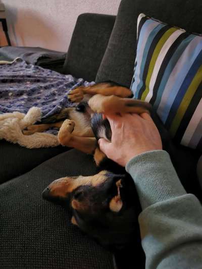 Das erste Foto-Beitrag-Bild