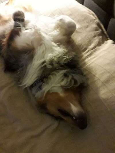 Die unbequemsten und lustigsten Schlafpositionen-Beitrag-Bild