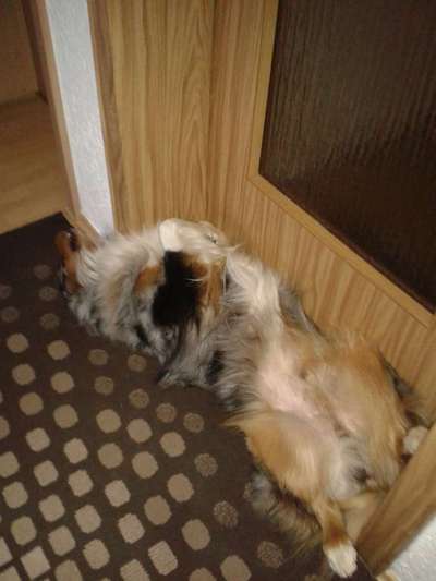 Die unbequemsten und lustigsten Schlafpositionen-Beitrag-Bild