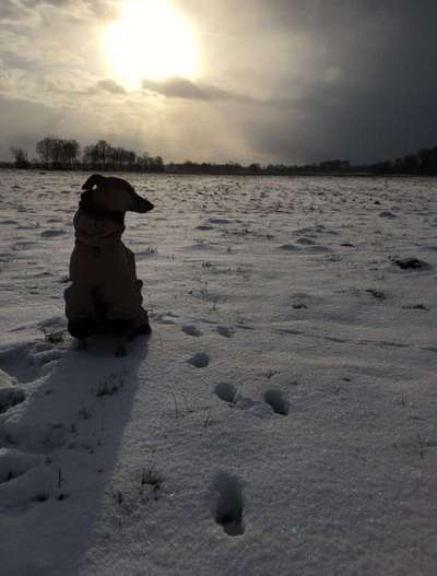 Fotochallenge 61 ~ Schnee-Beitrag-Bild