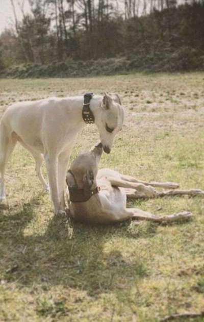 Fotochallenge Nr. 62 Romantische Momente-Beitrag-Bild