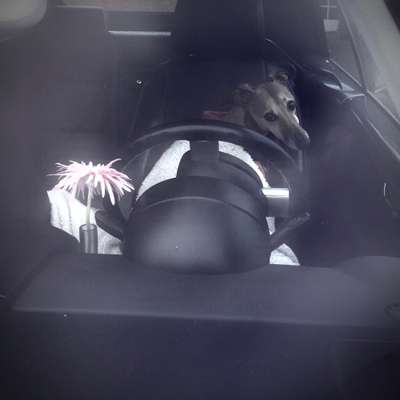 CHALLENGE NR. 18 - ON TOUR-Beitrag-Bild