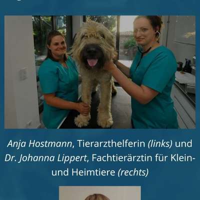 Tierärzte-Frau Dr. Lippert-Bild