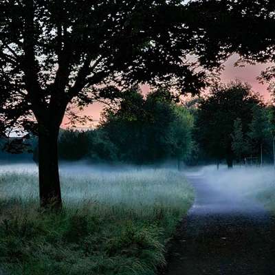 Hundetreffen-Sozial Walk im Florapark oder auf dem Acker nebenan-Bild