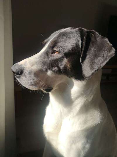 Fotochallange Nr. 57     PORTRÄT.   Beendet!!!!!!!!-Beitrag-Bild