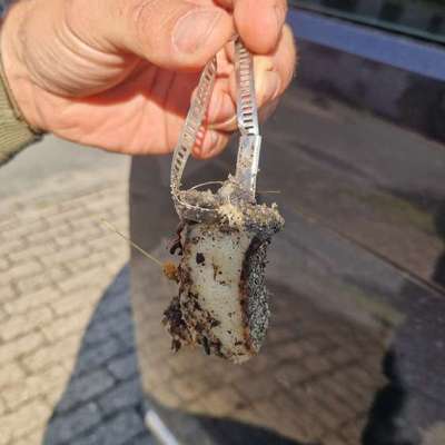 Giftköder-Speckköder mit Metall Schlauch Schelle-Bild
