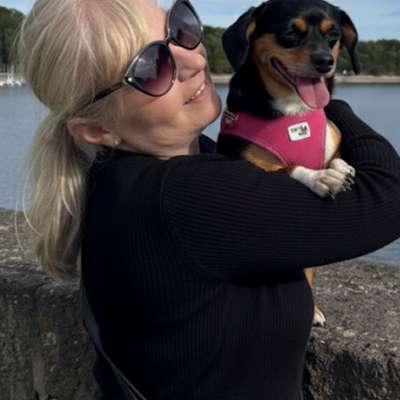 Hundetreffen-Kleine Hunde in Neuenrade