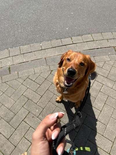 Eis essen-Beitrag-Bild